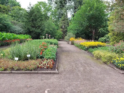 Ogród Botaniczny w Zabrzu
