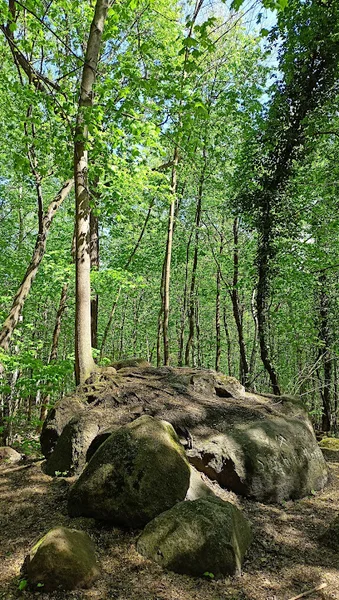 Pomnik Walthera Steinhoffa